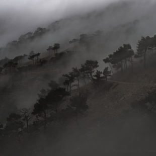 in the mist 3/3 (Chios isl. mountains)