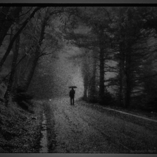 in the Mist (film)