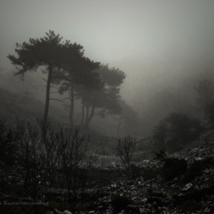 in the mist 2/3 (Chios isl. mountains)