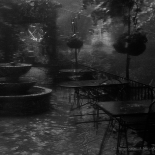 in the rain, Pelion... winter storm