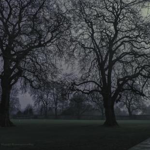 Winchester - England, winter