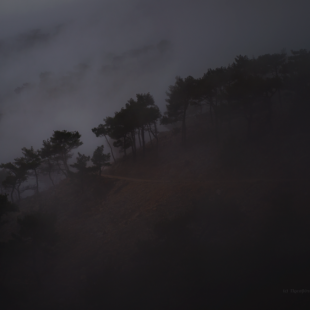 "In the mist" (to recognise  in the mist)