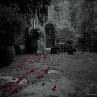  Your steps...