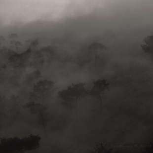 in the mist 1/3 (Chios isl. mountains)  