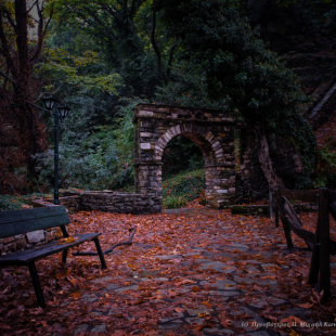 Fall