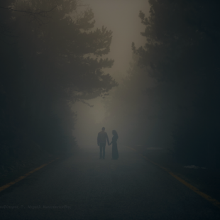 .....together , alone.....