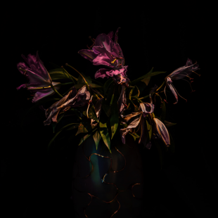 dying flame