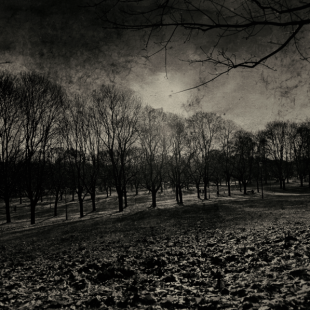 Dark B & W  1 (Oslo)