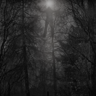 Dark B & W  3  (To be Free)