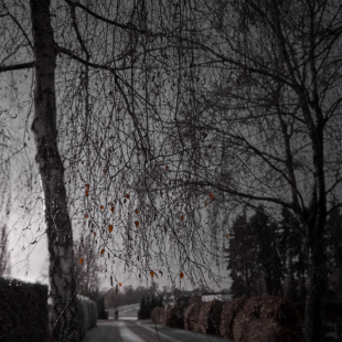  '' Είδα ''