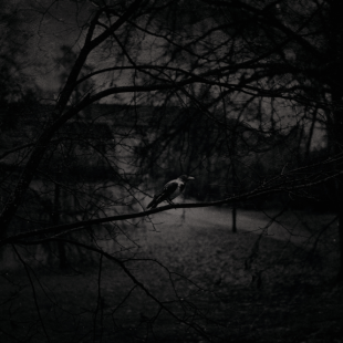Dark B & W  2 (Oslo) 
