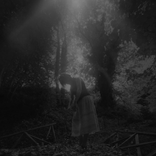 Dark B & W  5  (Separation)