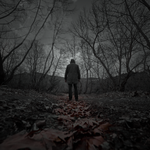 DARK FOREST 1 (FOLLOWING MEMORIES)