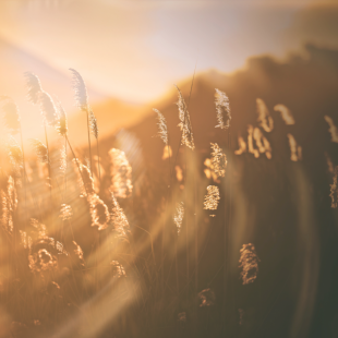 fading away....