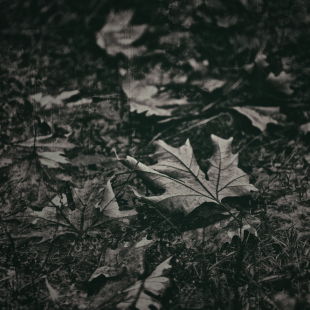 past