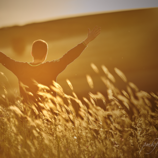 to be Free
