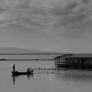 B & W DREAMS