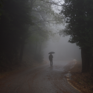 misty lines