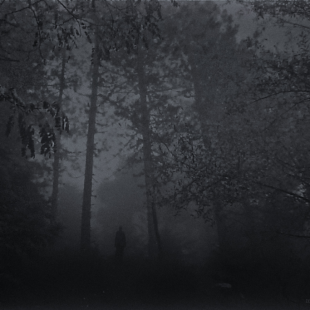 misty lines,dark retro