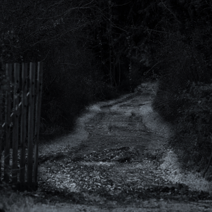 ....the Path