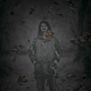 DARK FOREST 2 - ( RAIN )