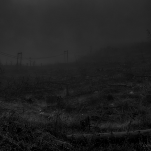 ...misty lines...