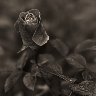 ...young....for a while