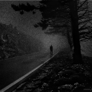 misty lines,dark retro
