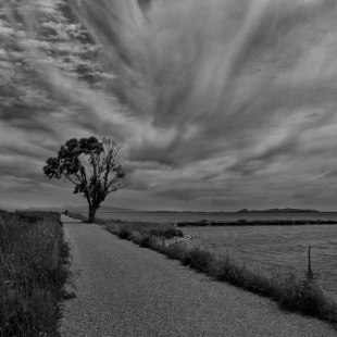 ...and the silence covered the the sky...