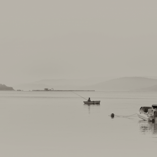 SERENITY