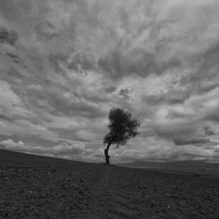 the loner