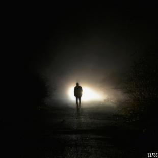 IN THE MIST THERE IS A LIGHT 