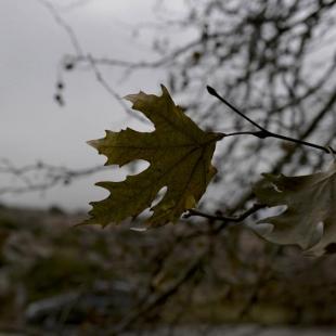 Adagio 