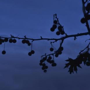 ... DEEP BLUE WAY