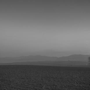 TRAVELLER 