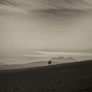 TRAVELLER 