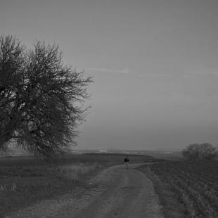 TRAVELLER 