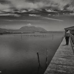 moment of gray past