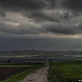 the road