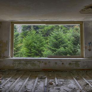 living room window 