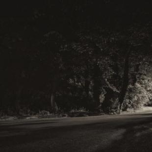 the WAY