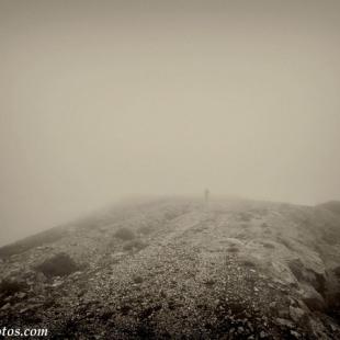 IN THE MIST     