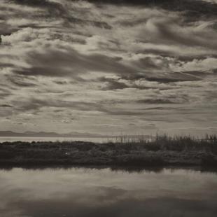 LONER REFLECT