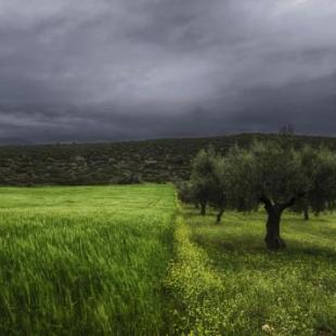 ΑΝΑΜΕΣΑ