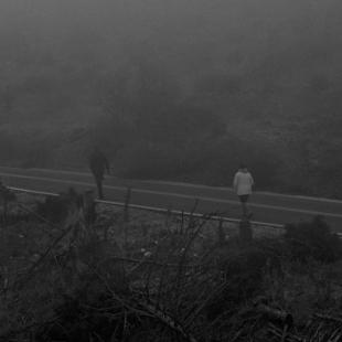 IN THE MIST  