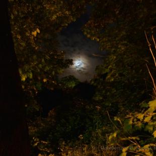moment  by night